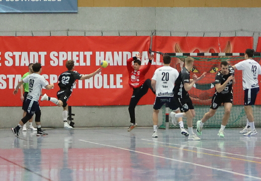 WEFR8110 2026 Januar 10 Ludwigsfelder HC Kopie